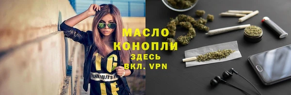дживик Абаза