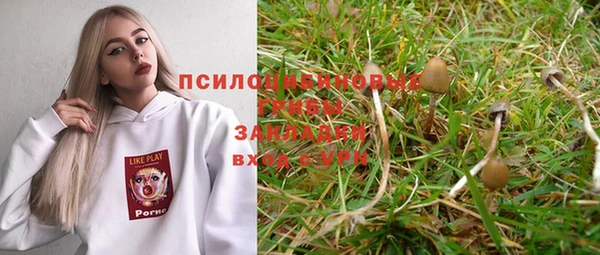 дживик Абаза