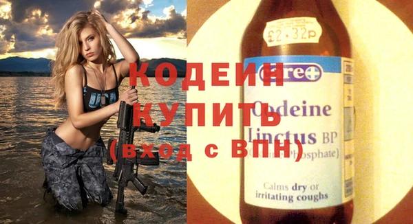 дживик Абаза