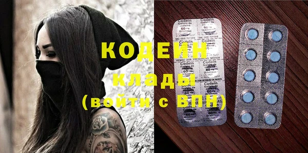 дживик Абаза