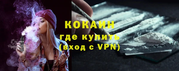 дживик Абаза