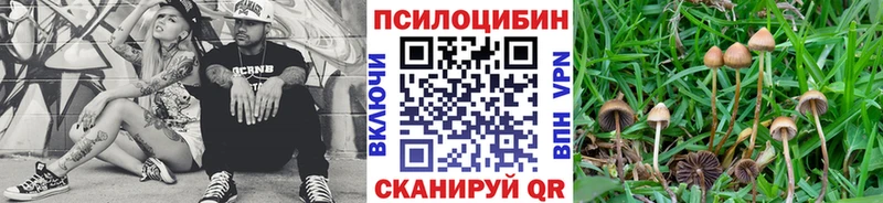 купить закладку  Кизилюрт  Галлюциногенные грибы Magic Shrooms 