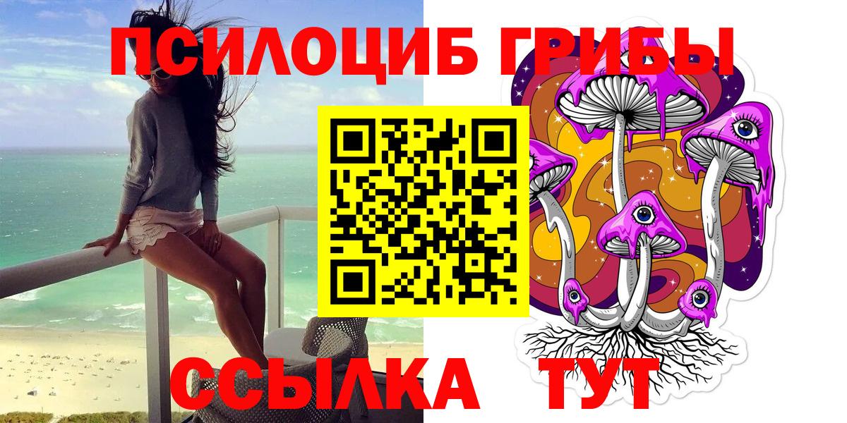 Галлюциногенные грибы Psilocybe  Псилоцибиновые грибы MAGIC MUSHROOMS  наркота  Вход с VPN  Кизилюрт 
