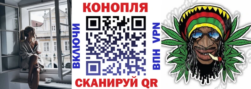 Шишки марихуана семена  Кизилюрт 